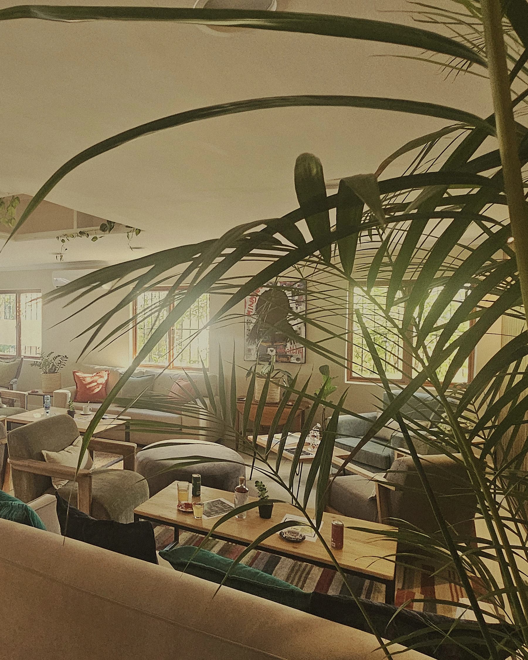 A glimpse inside the High Tea lounge